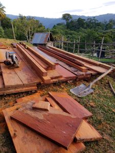 lumber in the mountains 