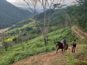 Packing Up Trail W Horse 